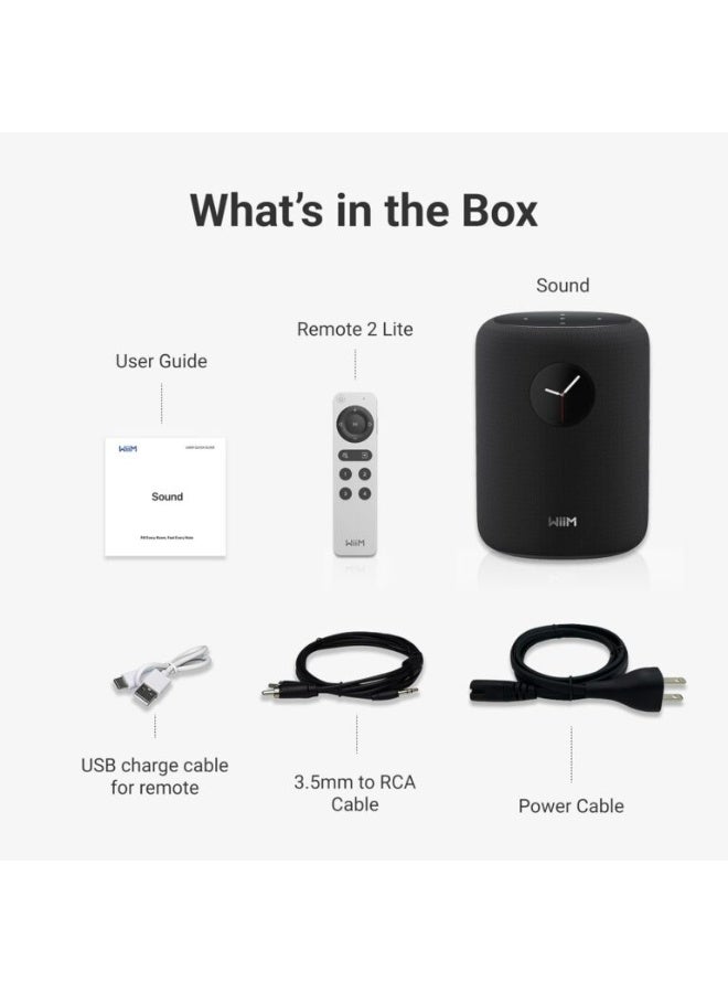 WiiM Sound – Smart Speaker - Image 3